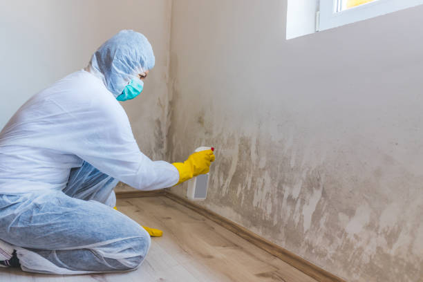 Mold Remediation specialist working in Manville